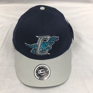 MiLB Ogden Raptors Hats adult size